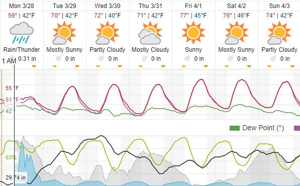 weather report