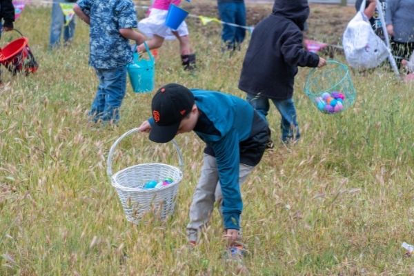egg hunt