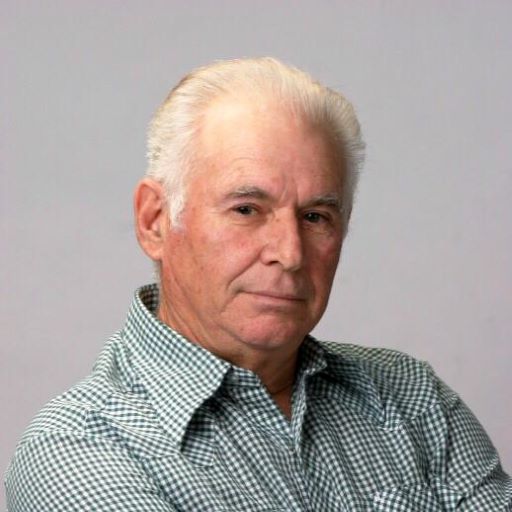Dennis L Hamilton
