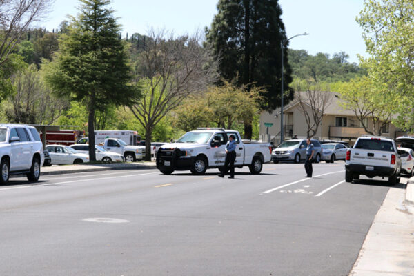police search for stabbing suspect