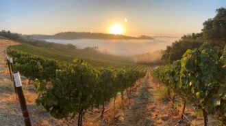 vina robles