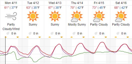 weather forecast