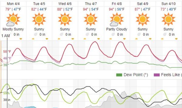 weather forecast