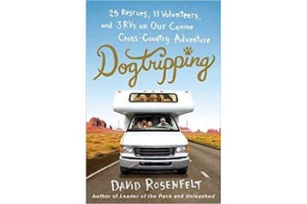 dogtripping