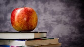 school apple teacher