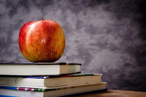 school apple teacher