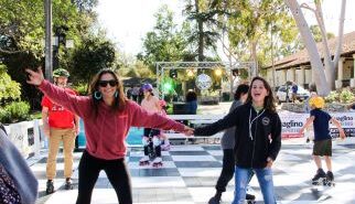 skate rink 1