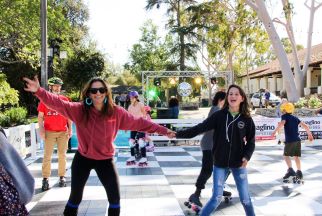 skate rink 1