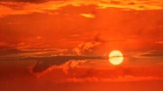 sunshine paso robles