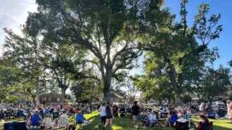 Concert with tree