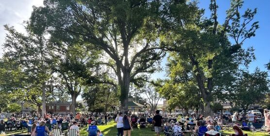 Concert with tree