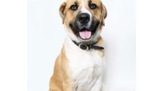 Monch pet of the week