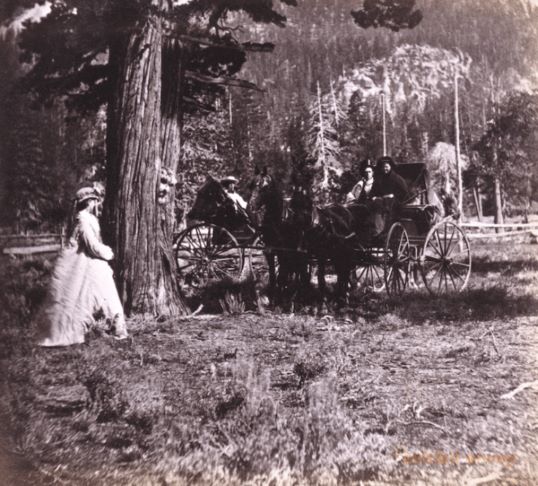 her side of the story exhibit