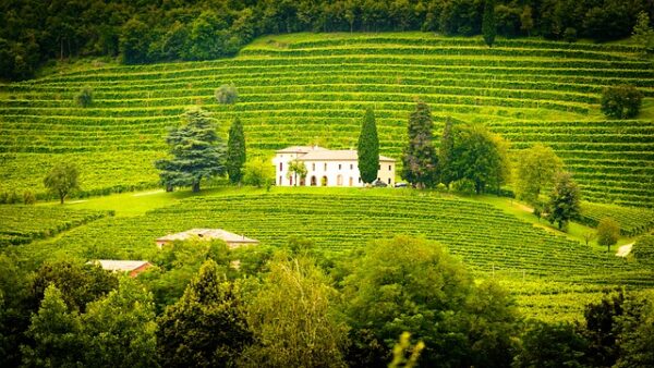 winery