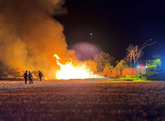 vegetation fire