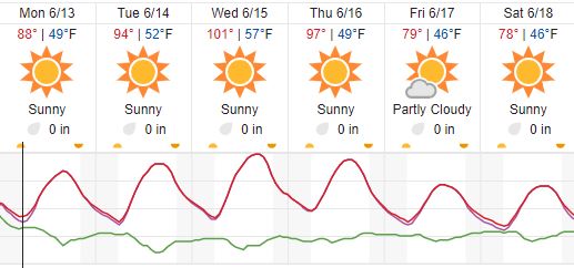 weather forecast