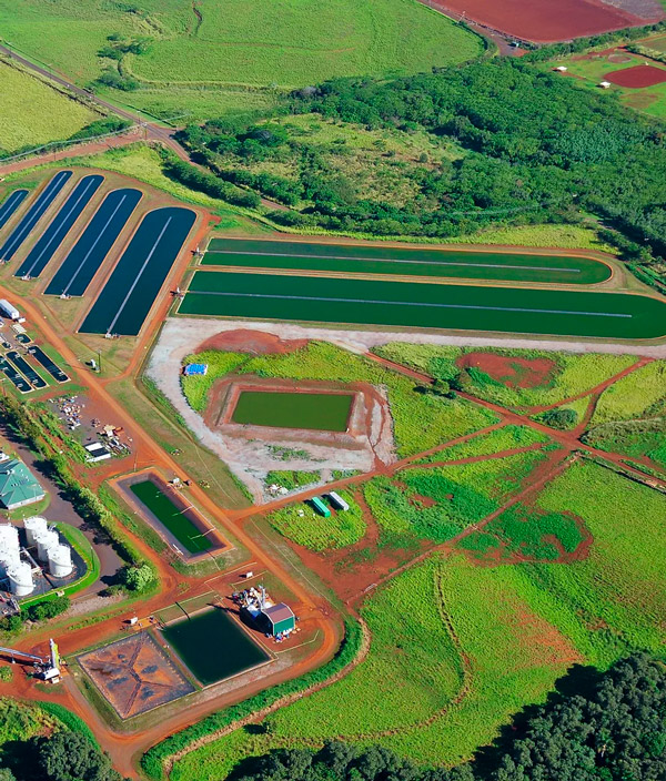 Carbon-Capture-Algae-Farm-Paso-Robles