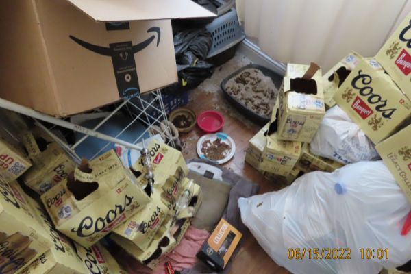 Child endangerment san luis obispo