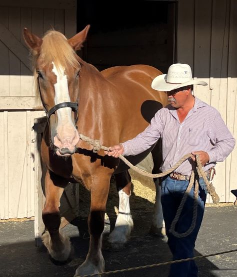 Halrio Ruiz with draft horse