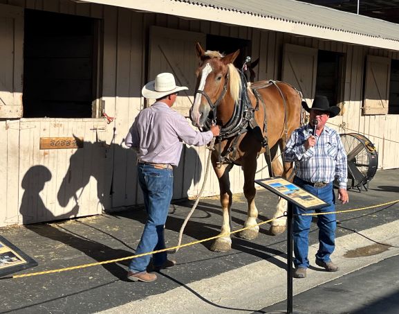 Harris Ruiz and shadow