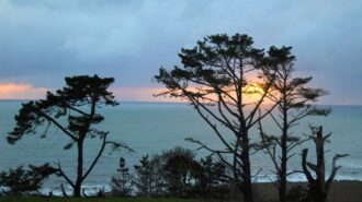 camp ocean pines cambria