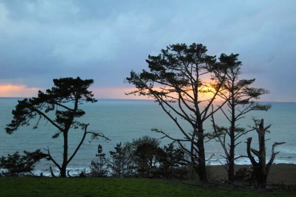 camp ocean pines cambria