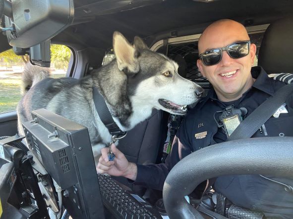 dog and officer