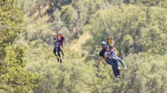 family zipping