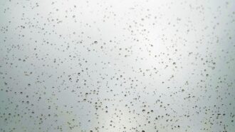 rainfall paso robles