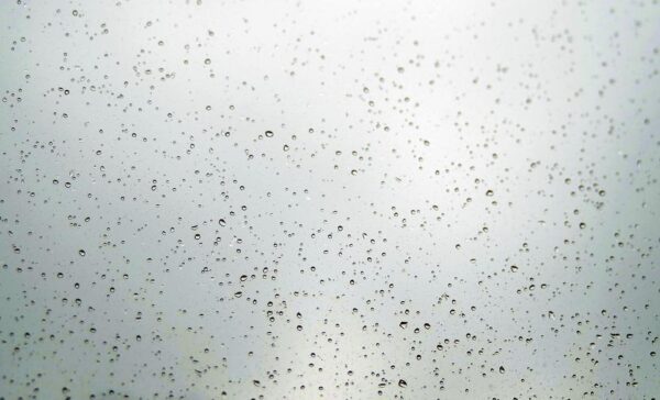 rainfall paso robles