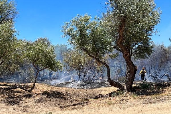 riverbed fire 1
