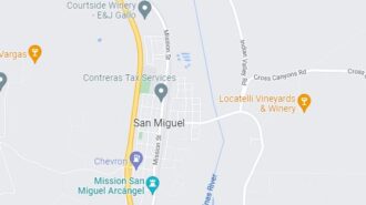 traffic stop ends in suicide