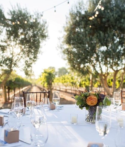 ONX Dine in the Vines