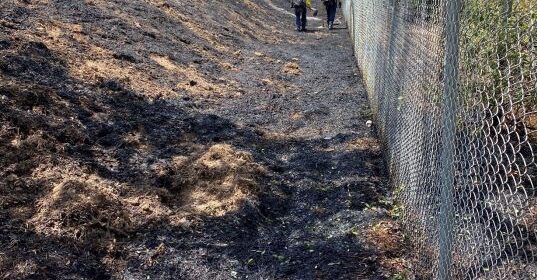 fire paso robles