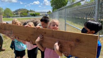 kids garden beds 1