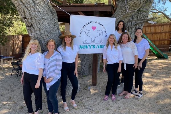 New dog rescue opens in North County