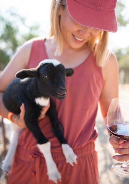 open farm day 2