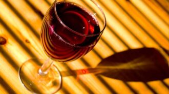 red wine stock image