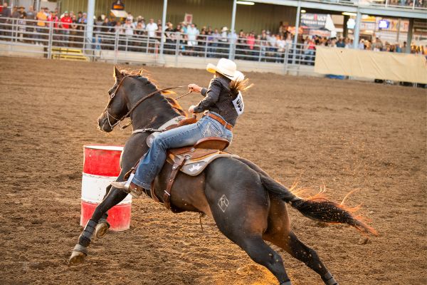 rodeo 1