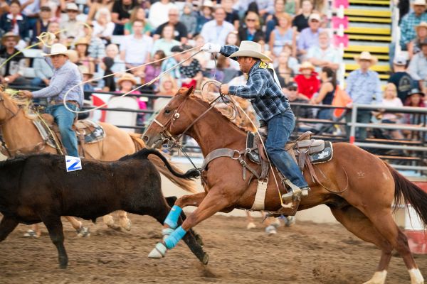 rodeo mid state fair