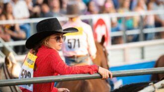 rodeo mid-state fair