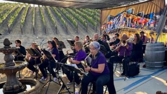 vineyard jazz