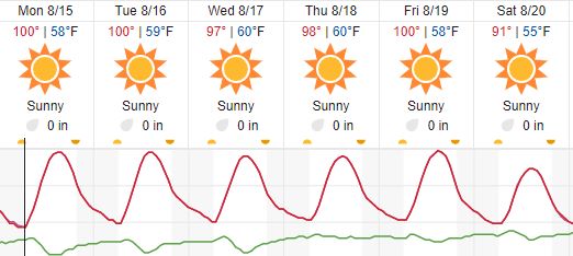weather forecast