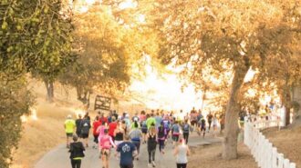 wine country runs