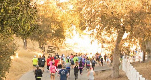 wine country runs