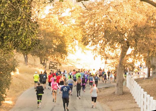 wine country runs
