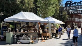 Antique show 1