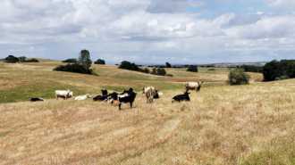 county releases ag report