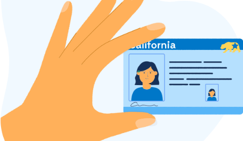 California IDs for illegal aliens