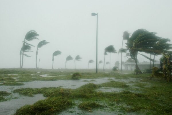 flooding in key west stock photo